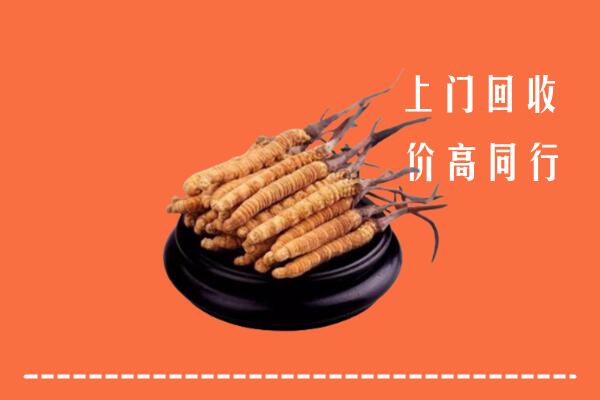 高价求购：会理县回收散虫草