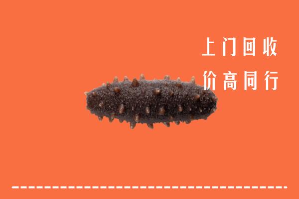 高价求购：会理县回收海参
