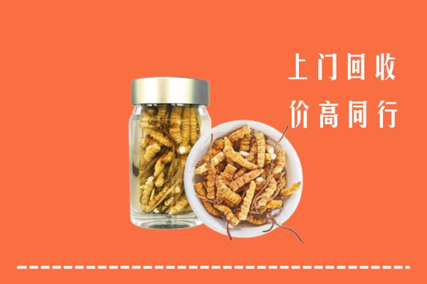 会理县回收冬虫夏草