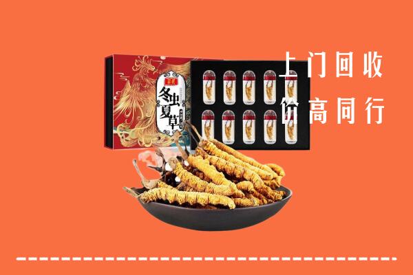 会理县回收虫草